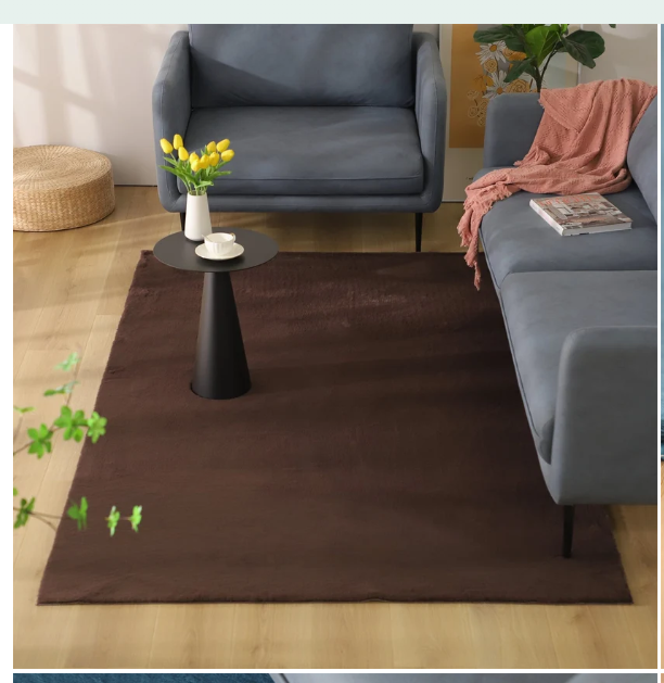 Brown solid-color area rug in a living room